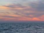 IMG_0571.JPG