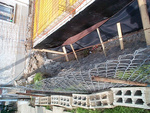 DCP04405